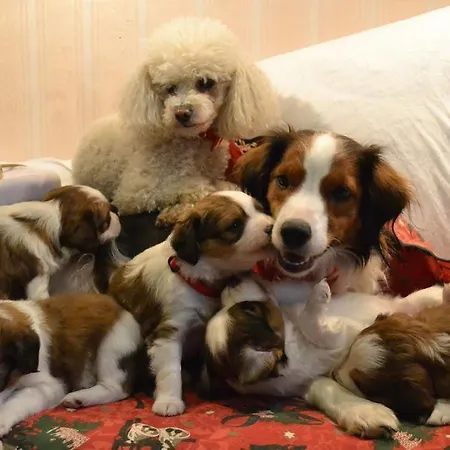 Wiental 4* Pressbaum