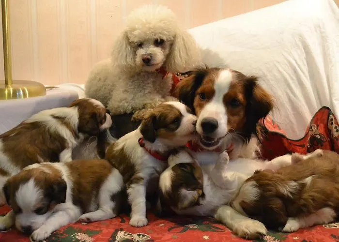 Wiental 4* Pressbaum